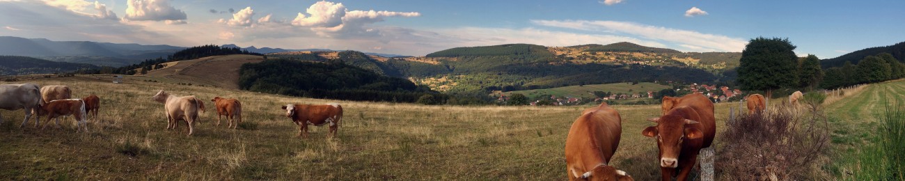 Le Réseau Manger Bio