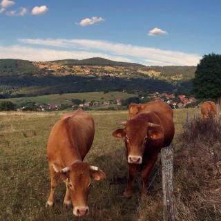 Viande Nos Produits